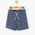 Hatley Boys Navy Striped Summer Shorts