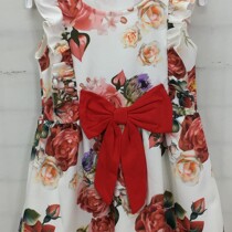Girls Red Bow Floral Dress